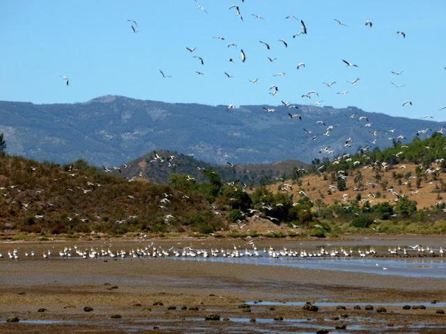 Surrounding environment