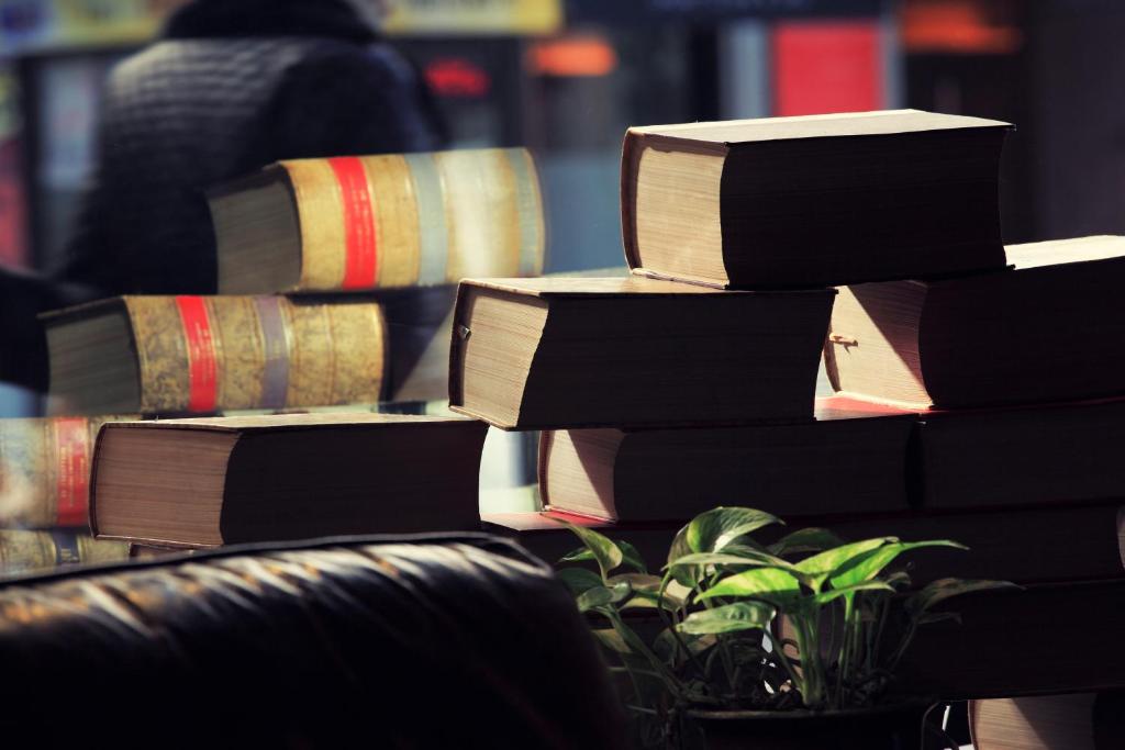 Szórakozási lehetőségek