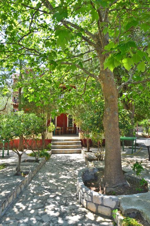 Belvedere Zakynthos Studios - Facilities image