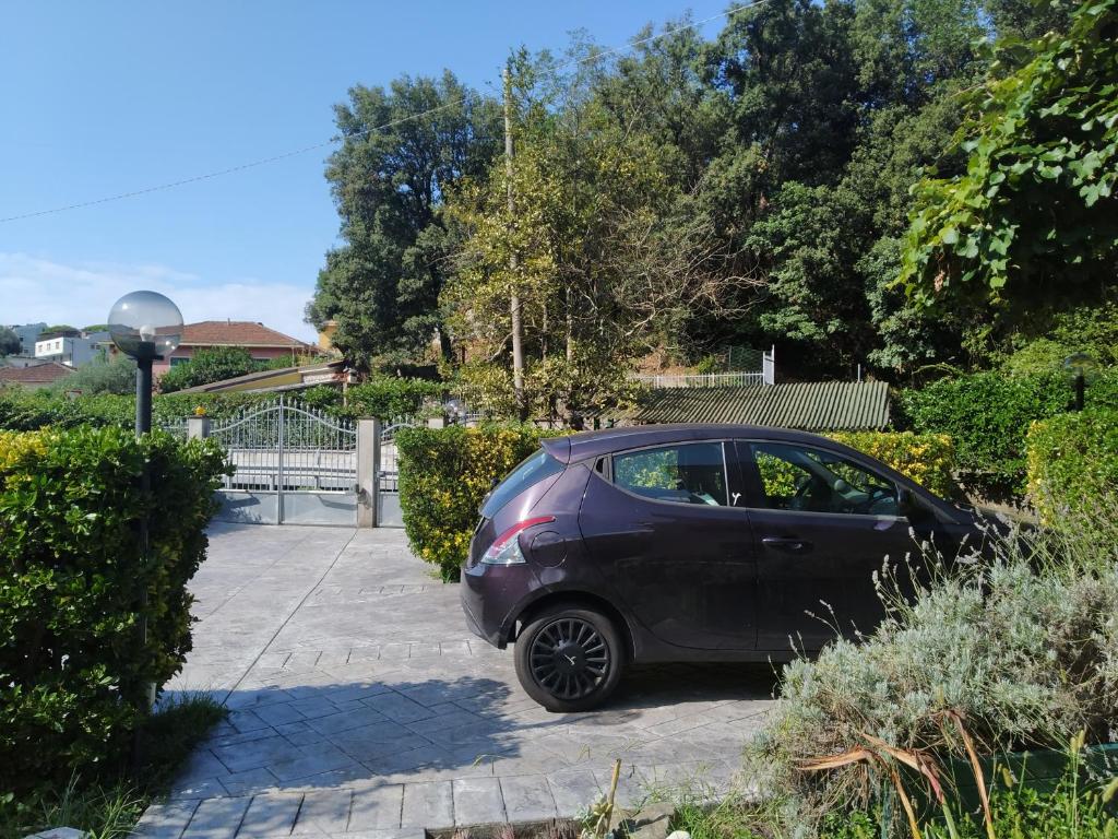 La casa nel verde - 3
