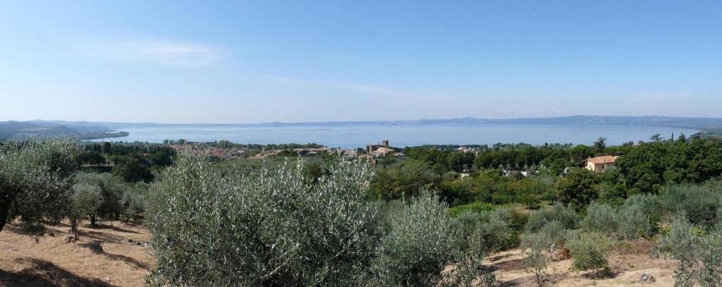Agriturismo Antica Cassia - 5