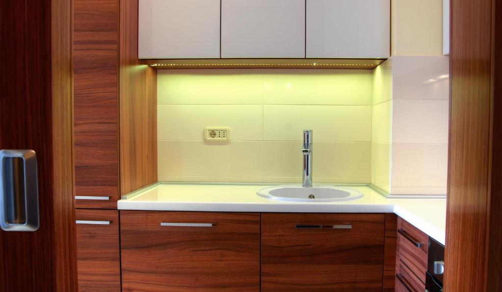 Kitchen, Apartments Athos in Podgorica