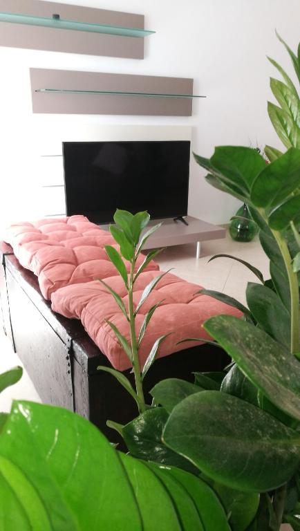 Serena GuestHouse - 3