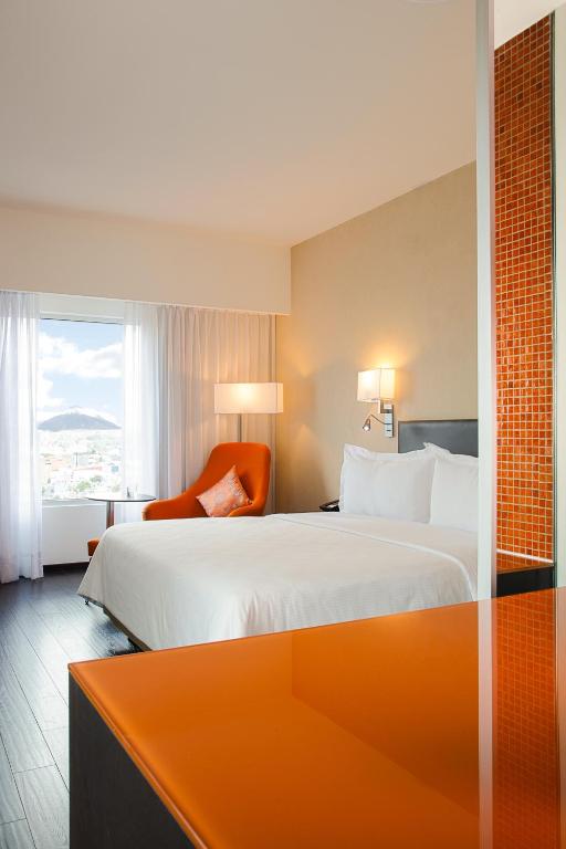 Fiesta Inn Puebla Las Animas Photo 49