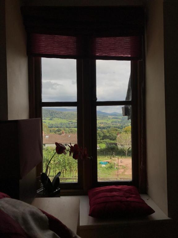 Peacock Cottage, Coity Bach photo 3