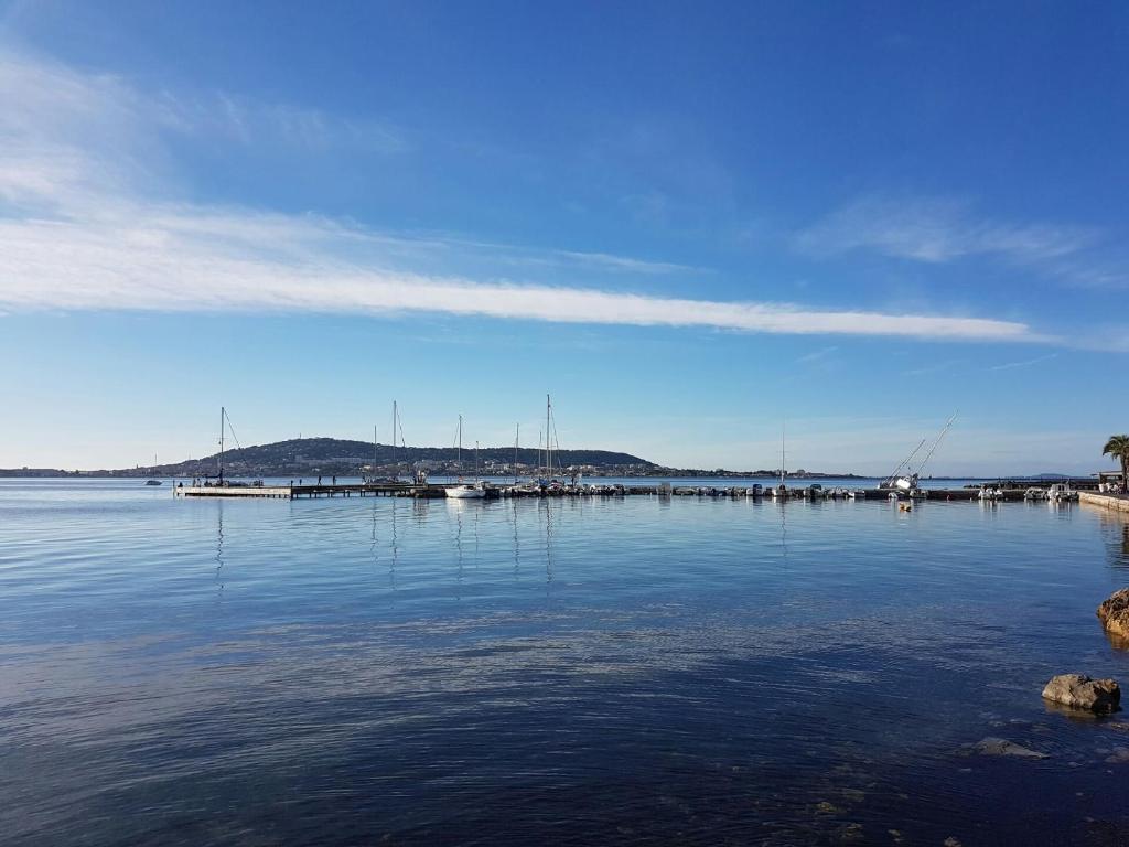 周辺観光スポット