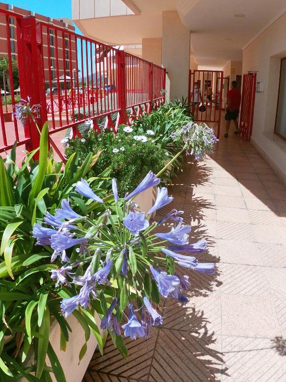 Holiday apartment Amatista - 3