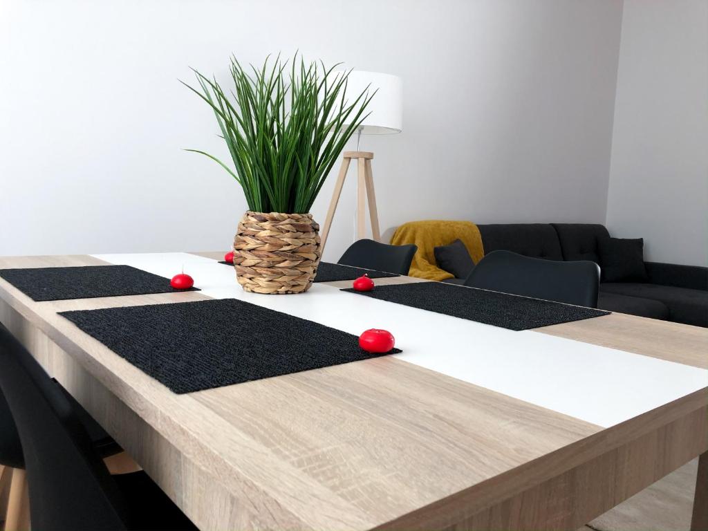 Grand appartement fonctionnel proche centre-ville - 2
