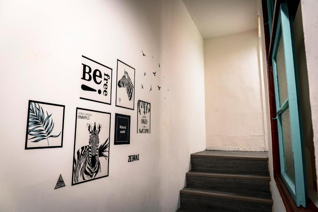 MILU Backpacker Hostel photo