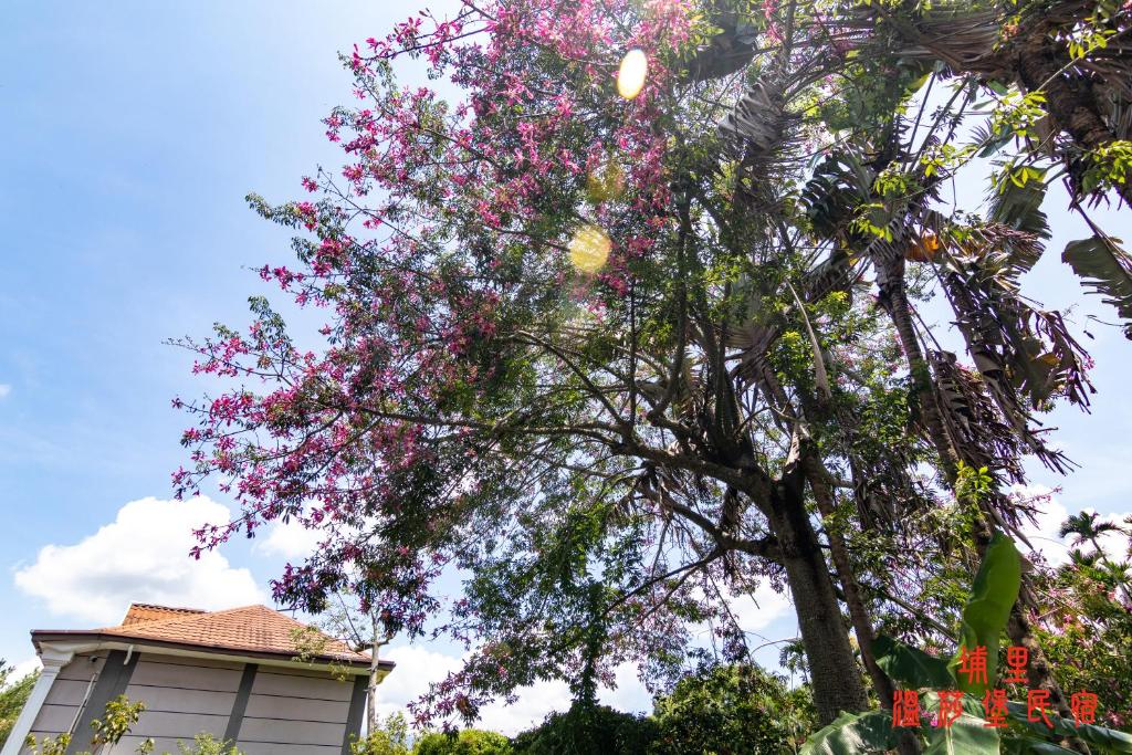 Wen Sha Bao Homestay 호텔 이미지 1