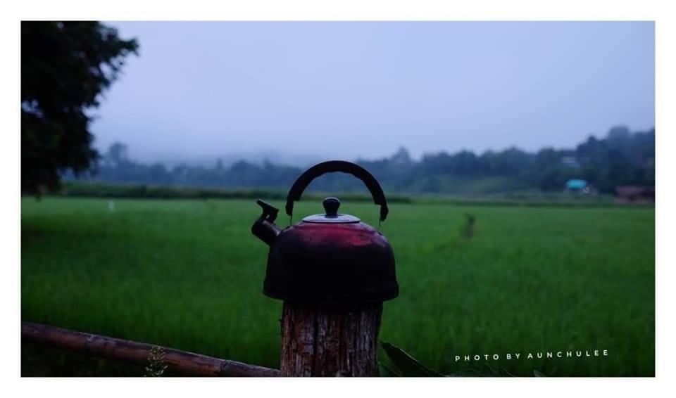 Wanmai Farm Stay Muangkong วันใหม่ฟาร์มสเตย์ เมืองคอง เชียงดาว photo