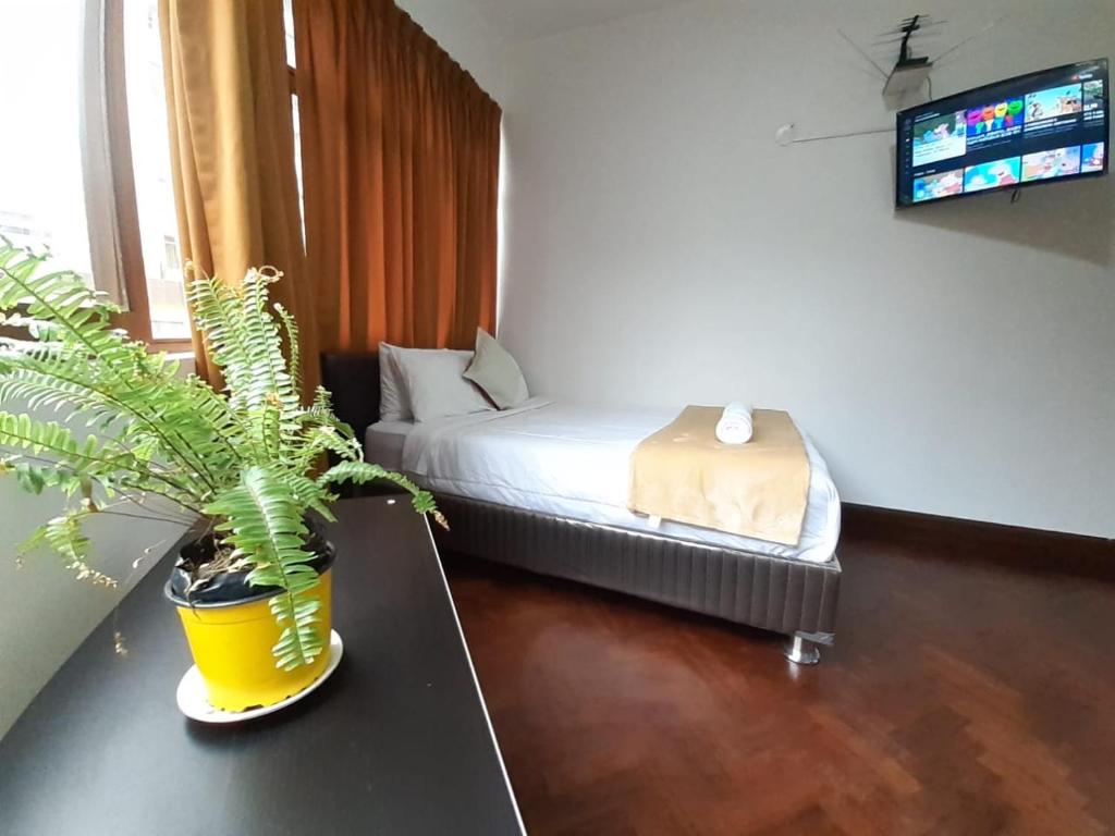 APARTAMENTO ENTERO EN CENTRO DE MIRAFLORES - Habitación Matrimonial - 2