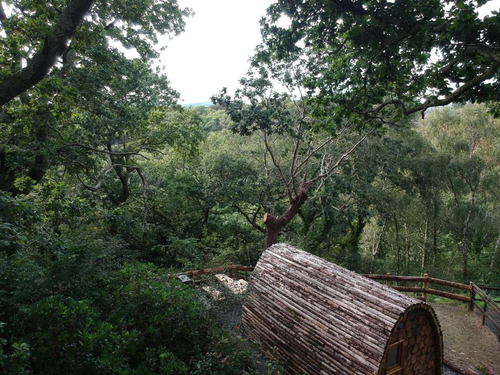 Owl Hut Glamping Pod, Arthog photo 6