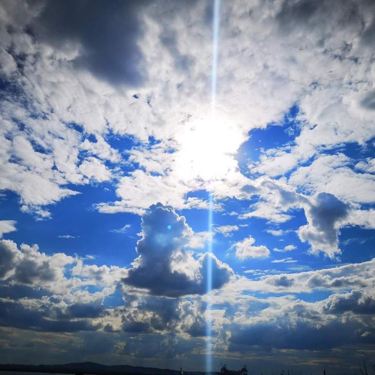Ảnh 5