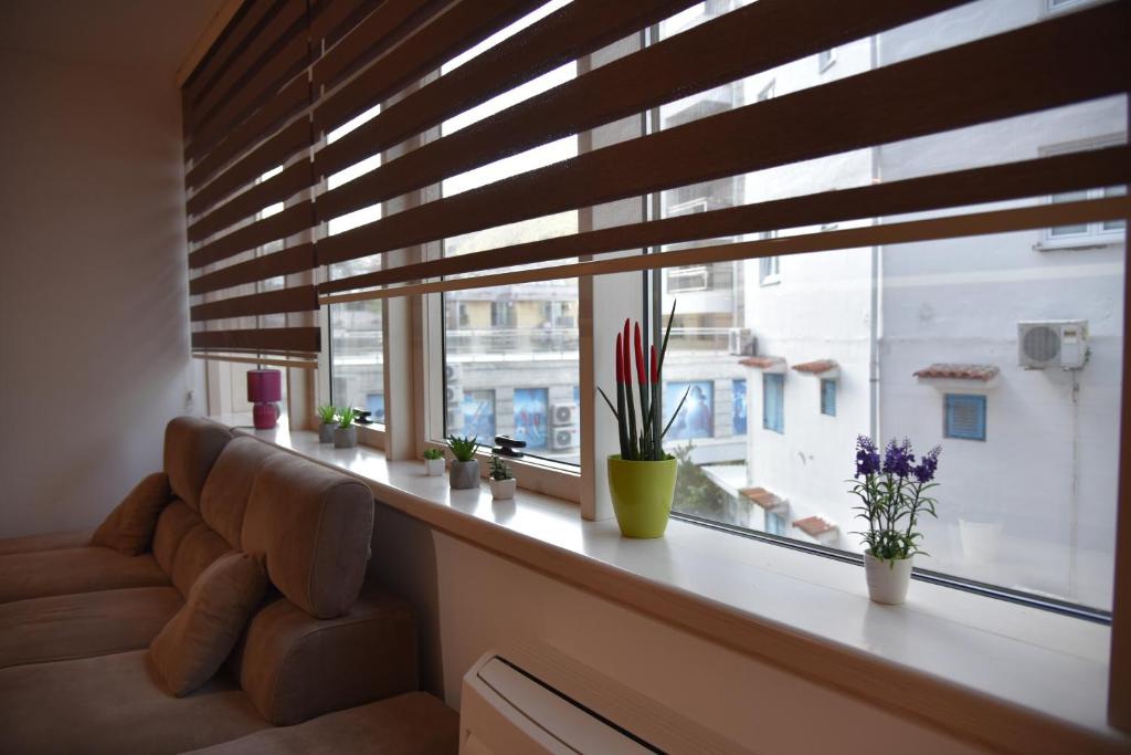 Apartment Lux Fontana - 4