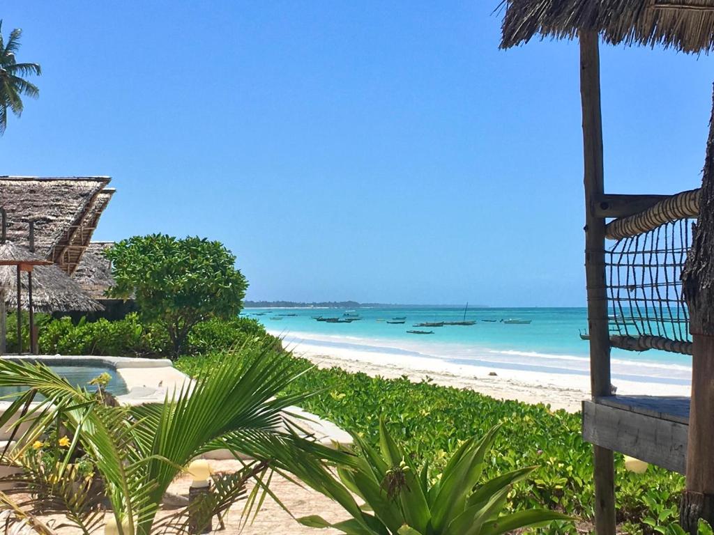 Driftwood Beach Lodge photo