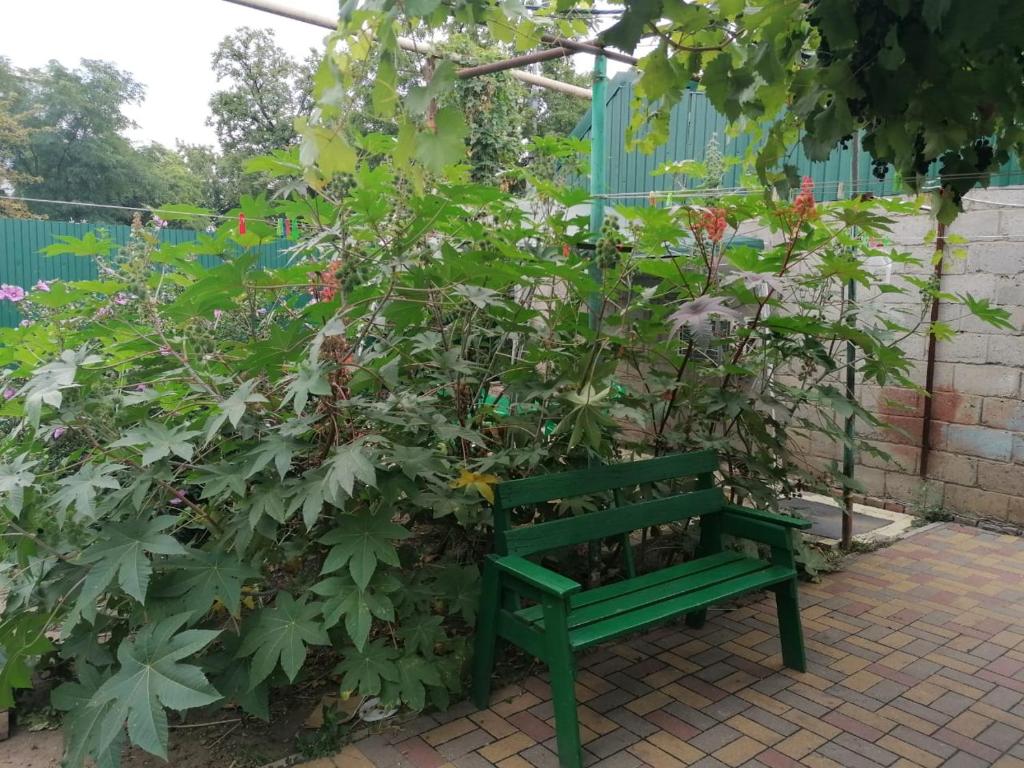 Facilities