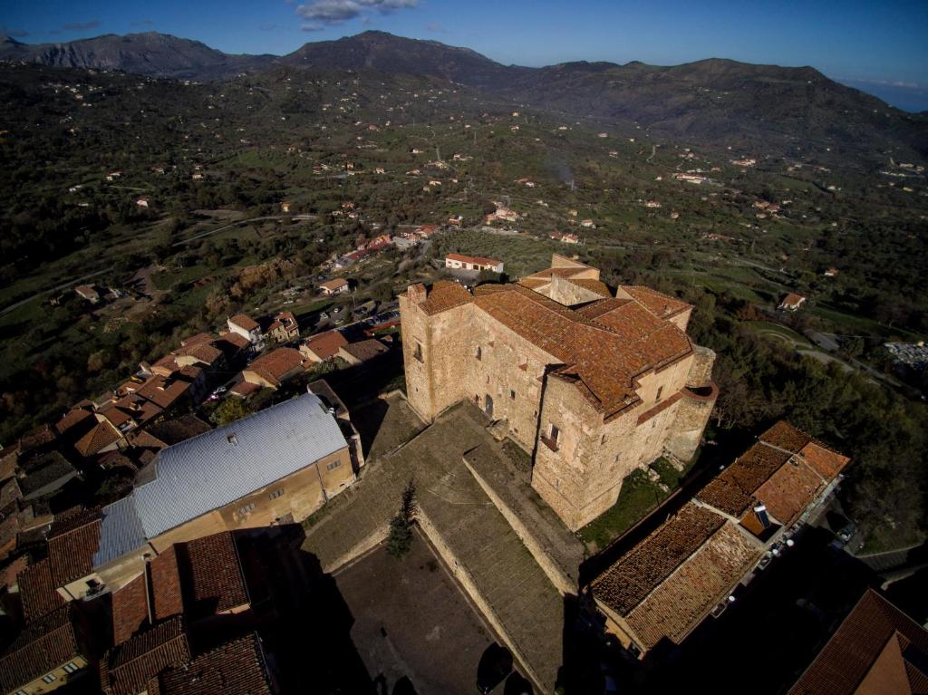 Vetriera41 photo