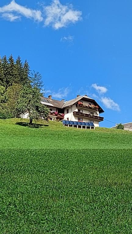 Erlebnishof Schiman - 4