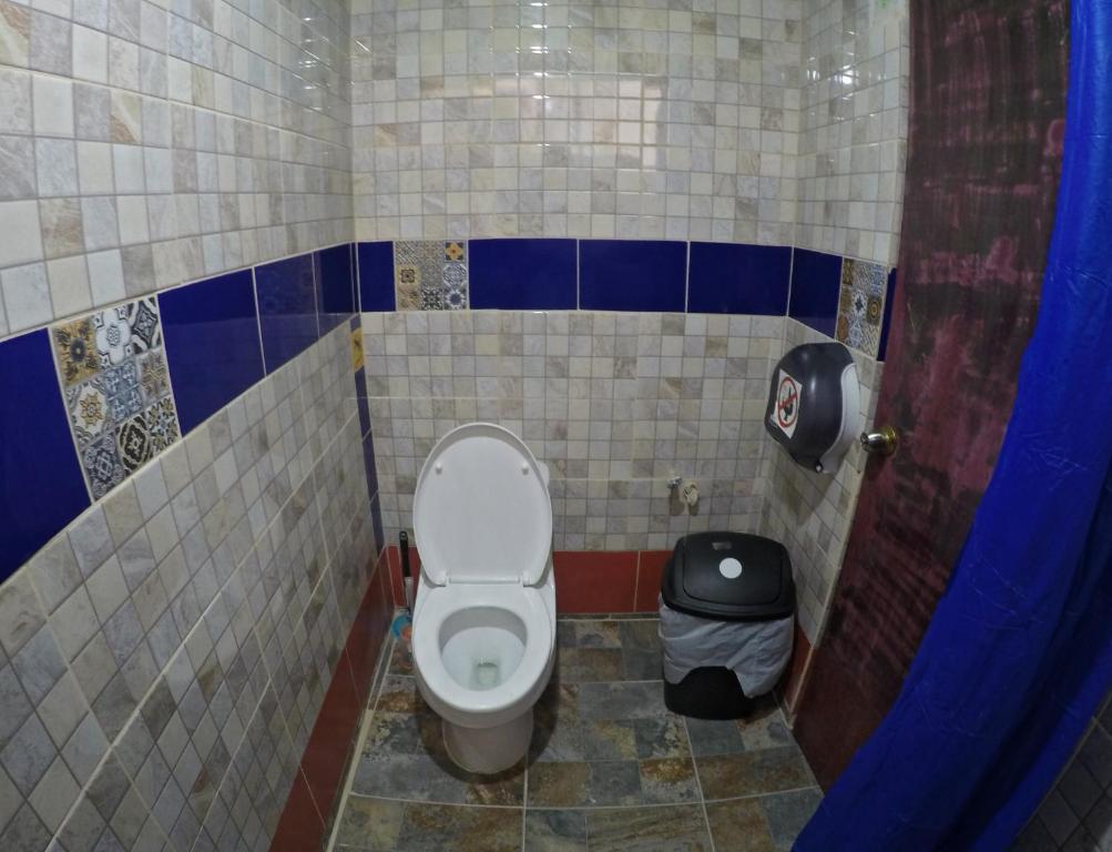 Iguana Hostel Oaxaca photo
