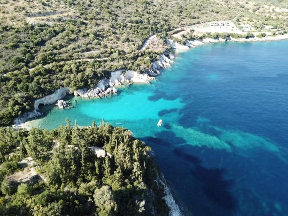 VKastri photo