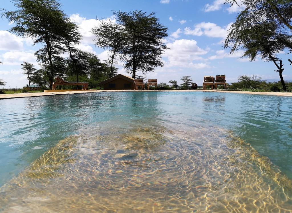 Africa Safari Lake Manyara located inside a wildlife park photo