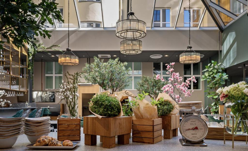 طعام و مشروبات