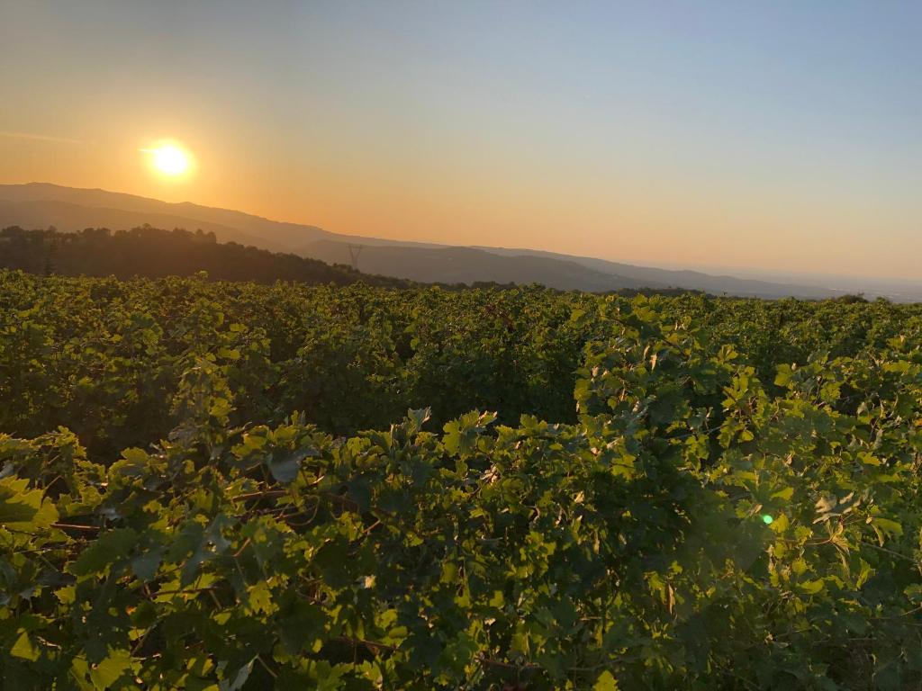 Dimora Le Colline - 4