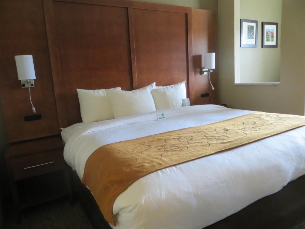 Comfort Suites New Braunfels photo