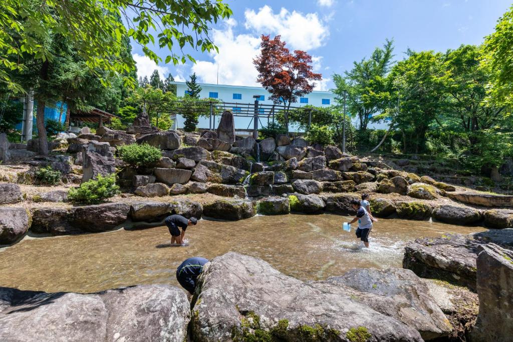 アクティビティ