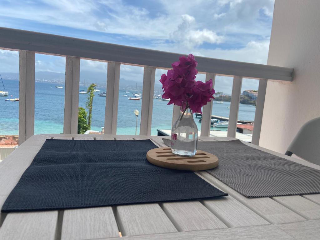 STUDIO ACACIA 3 ILETS PIEDS DANS L EAU et PISCINE, Les Trois-Îlets