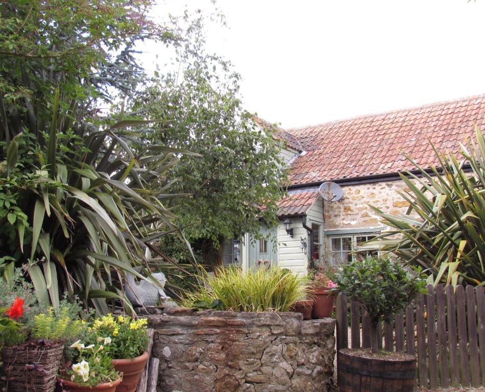 Chiddy Nook Cottage photo 8
