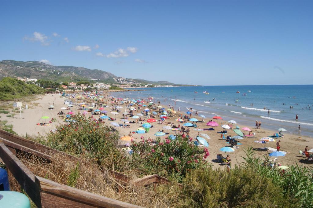 Apartamentos Canaret Punta Canaret Marineu Playa Romana - 2