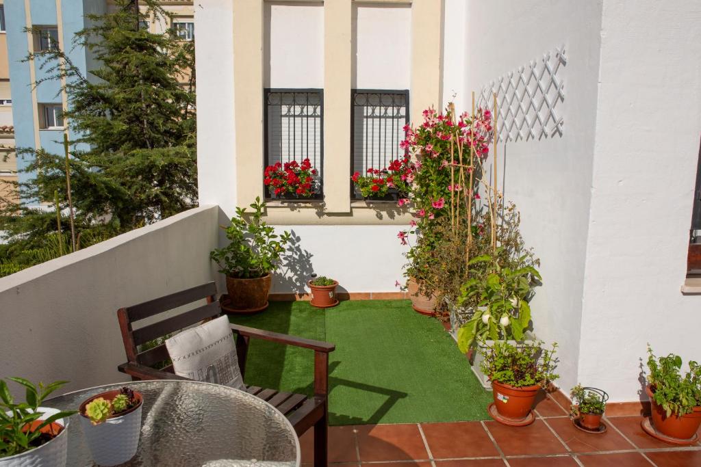 Puerto Deportivo Estepona - 5