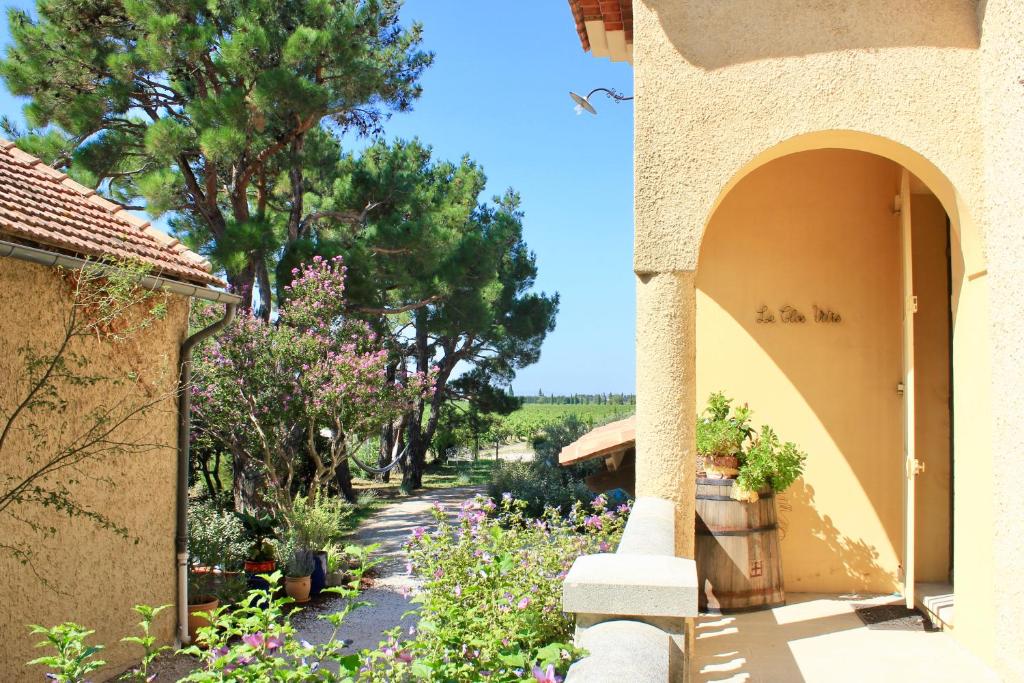 Le Clos Vitis, Violès