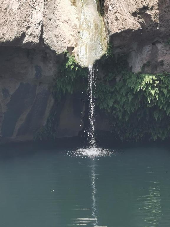 Surrounding environment