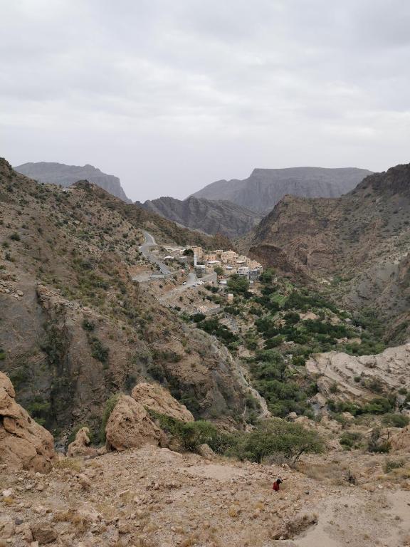 Surrounding environment