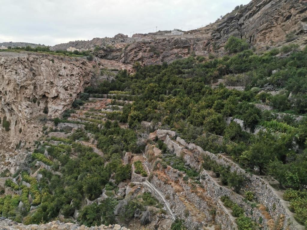 Surrounding environment