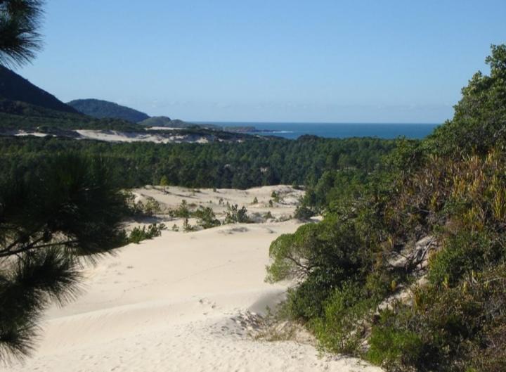 Surrounding environment