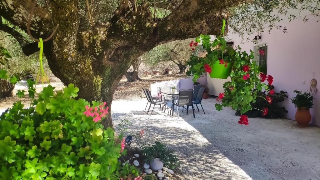Cephalonian Countryside Villa photo
