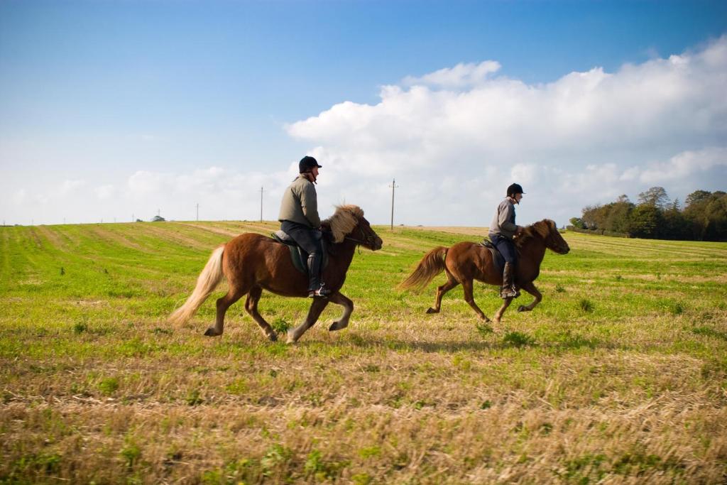 Sports and activities