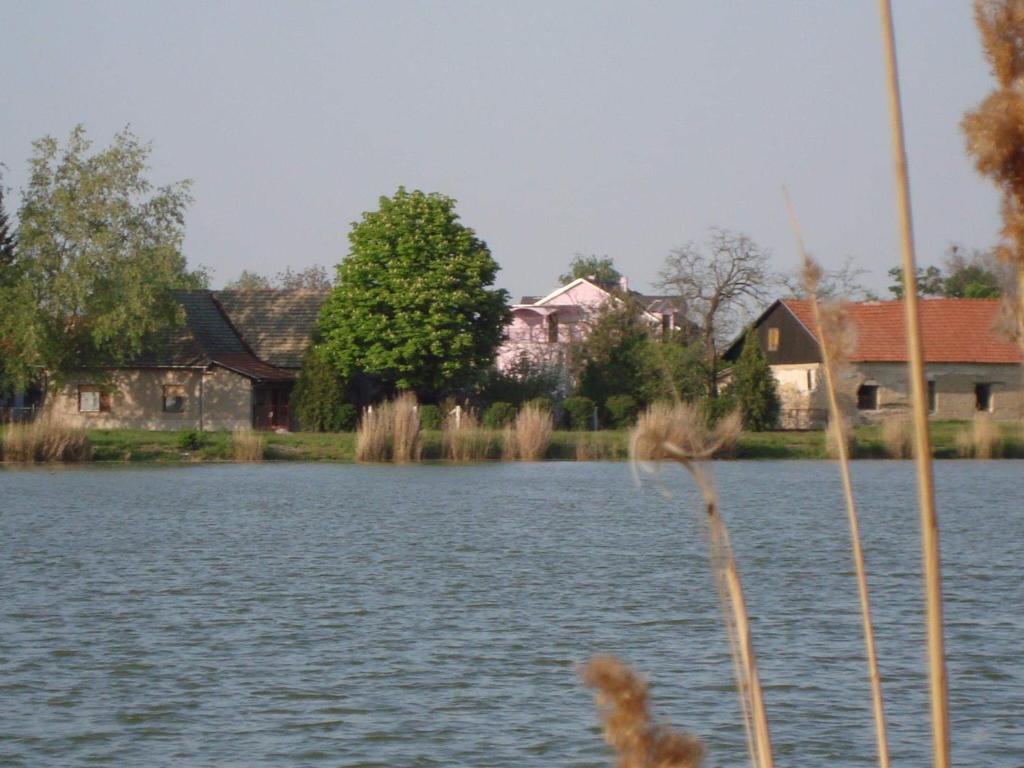 Vila Madams — Hotel in Palic