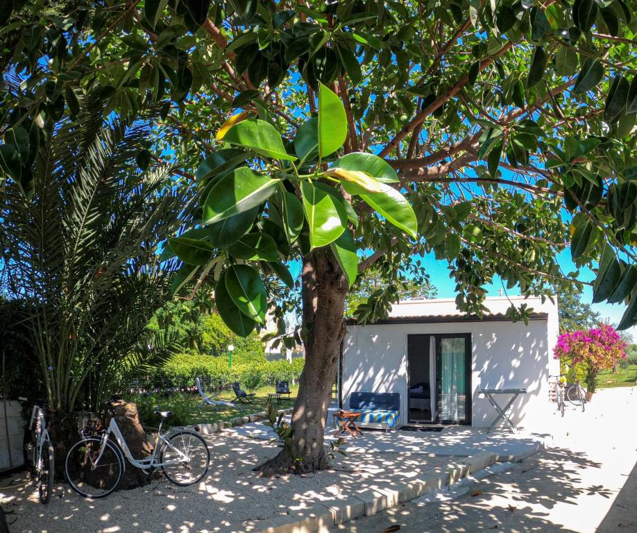 MAYANA SICILY - The suites - 5