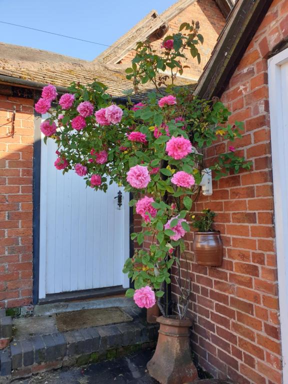 Church Farm photo
