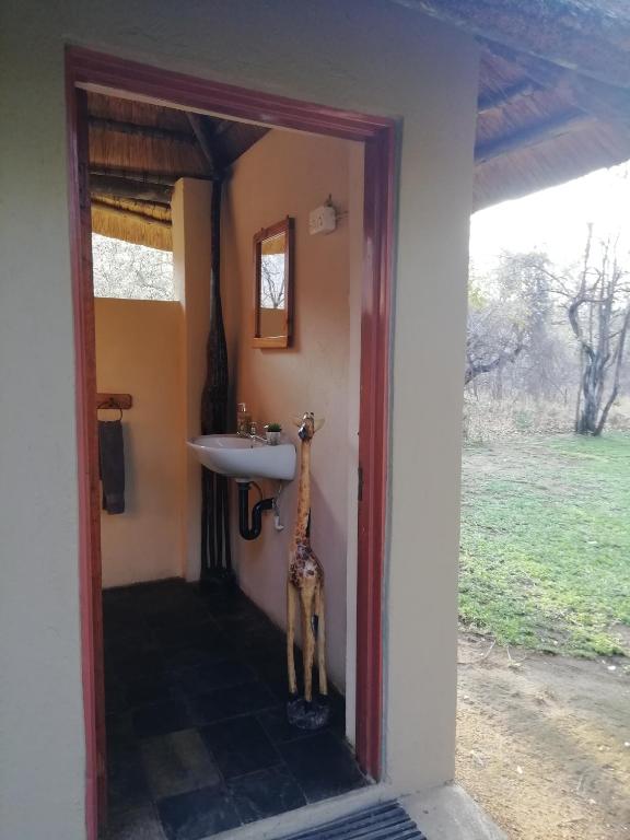 Shumba Safaris Bush Camp photo