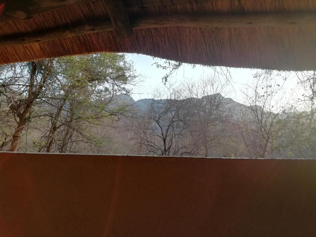 Shumba Safaris Bush Camp photo