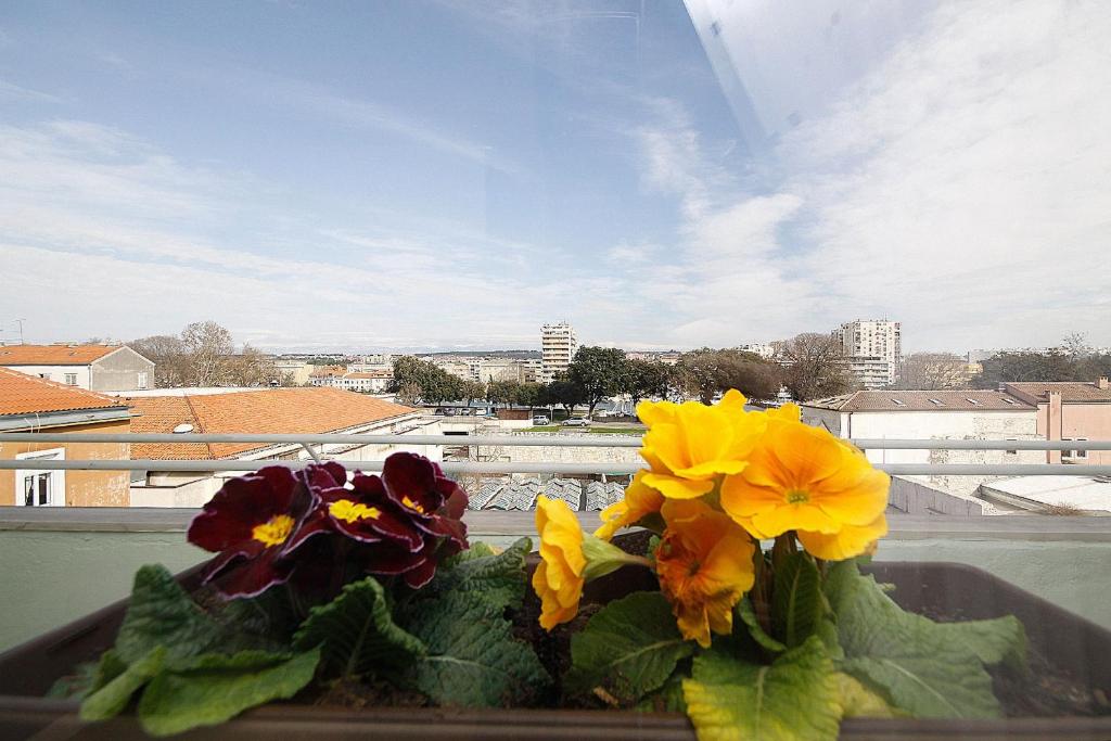 City Center Accommodation photo