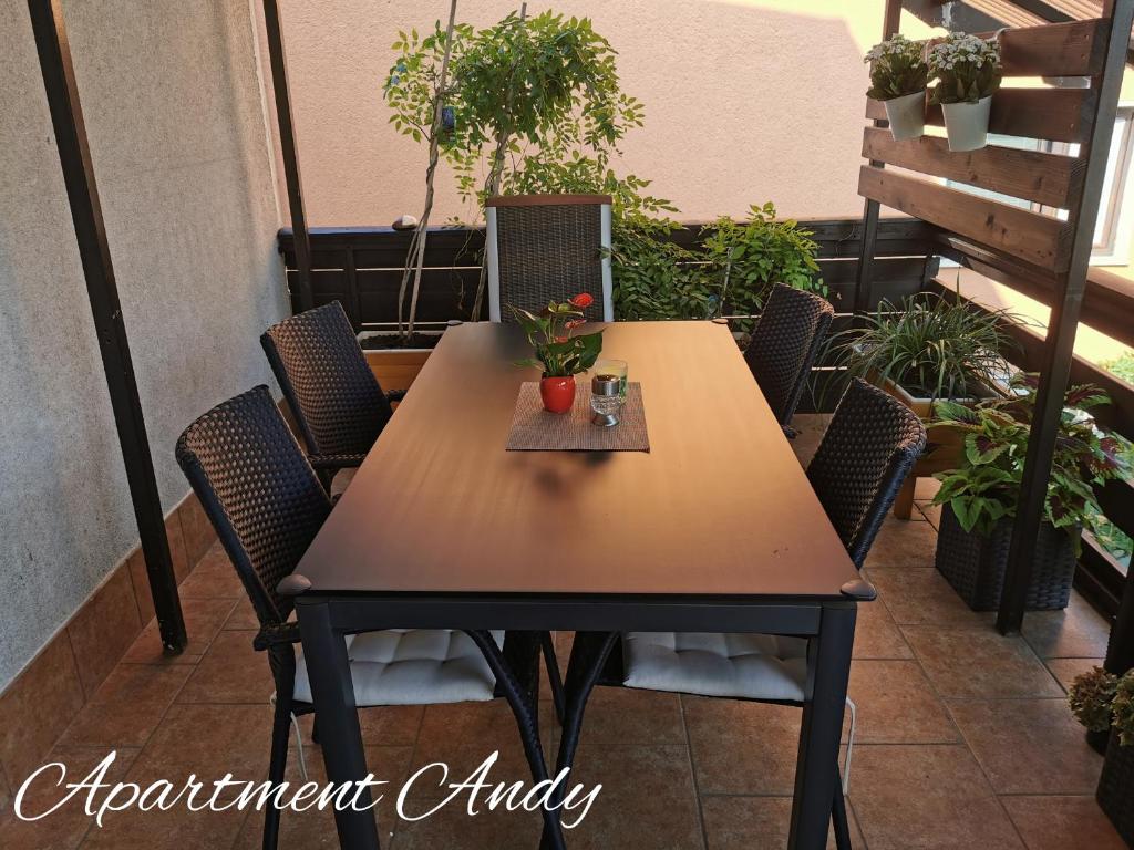 Apartment Andy photo