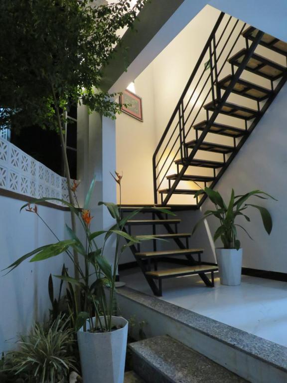 Robin House