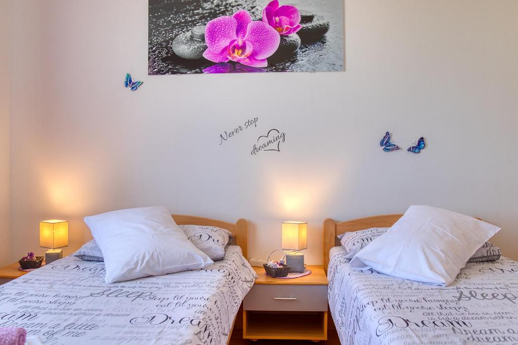 Apartment Nela, Vinkuran